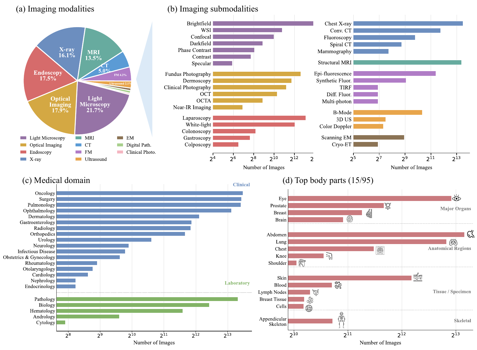 MMBU dataset composition statistics